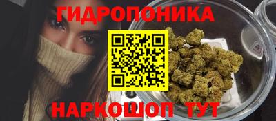 apvp Коммунар