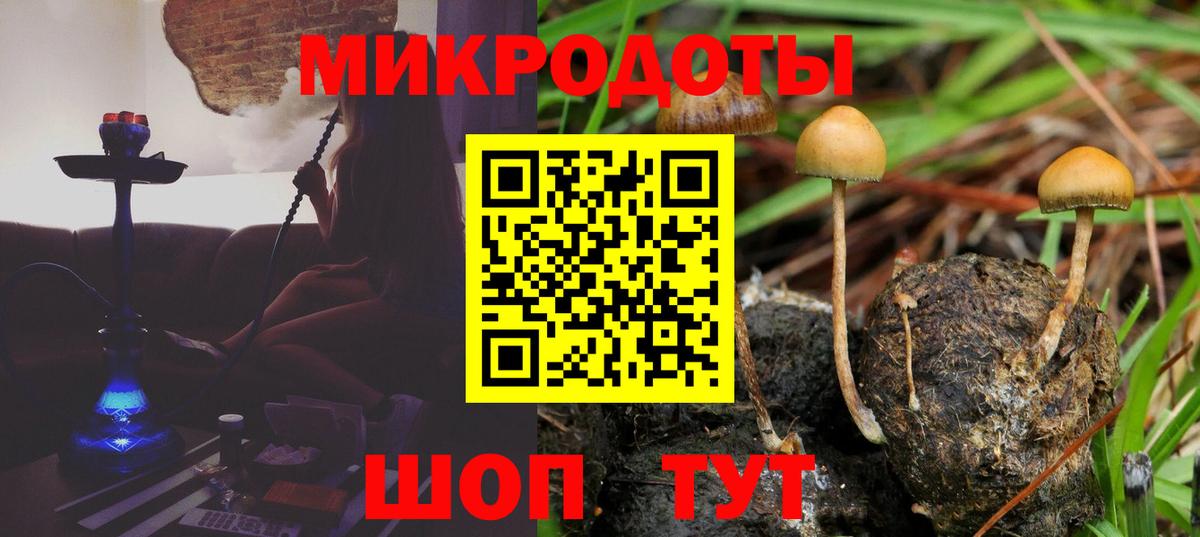 Котовск  Галлюциногенные грибы ЛСД  Галлюциногенные грибы Cubensis  Вход с VPN 