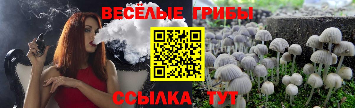 Псилоцибиновые грибы ЛСД Котовск